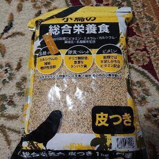 鳥の餌