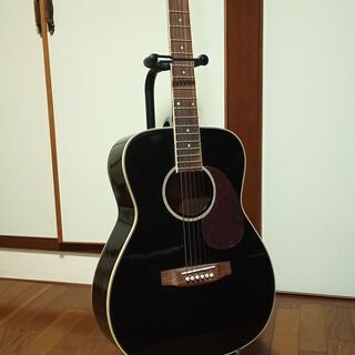 【スタンド付き】Aria アコースティックギター　ADF-250...