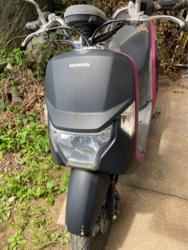 ホンダ ダンク