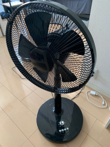 人気色 扇風機