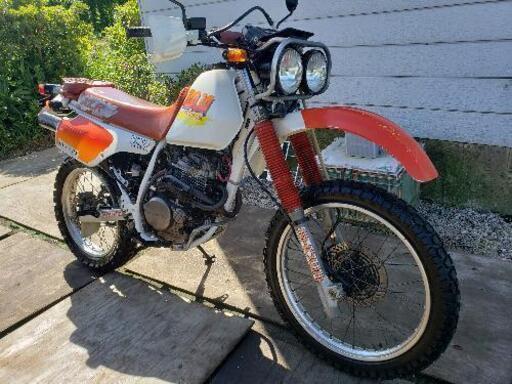 MD22 XLRバハ HONDA‼️限定車❗早い者勝ち‼️オフロード250cc