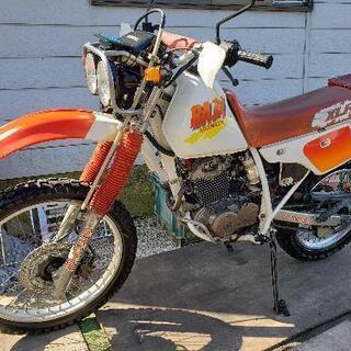 MD22 XLRバハ HONDA‼️限定車❗早い者勝ち‼️オフロード250cc