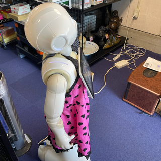 ペッパー君❗️箱、説明書付き❗️動作良好✨