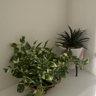 配送設置無料！2019年製！1K 10畳　コーディネート済み家具家電フルセット