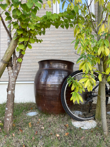 大きい壺