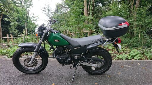 ヤマハ TW200 ノーマル車です