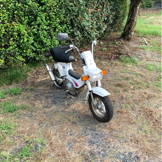 ホンダ シャリー CF50 12V 原付 バイク 50cc 車体 gorettibucaramanga
