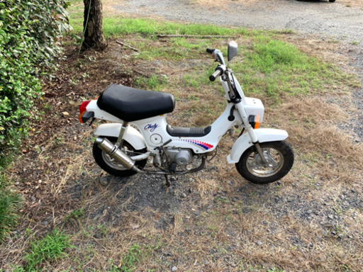 ホンダ　シャリー　CF50 12V  原付　バイク　50cc  車体