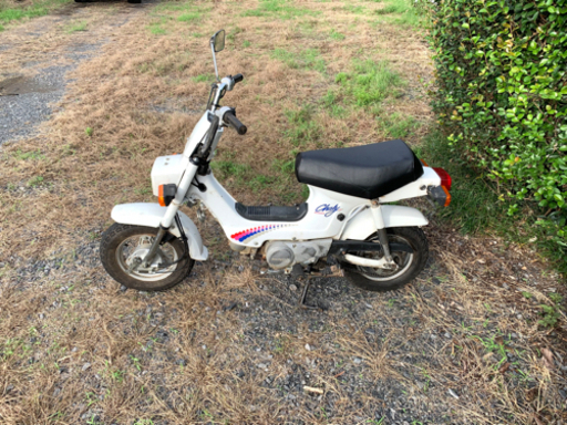 ホンダ シャリー CF50 12V 原付 バイク 50cc 車体 | madanille.com