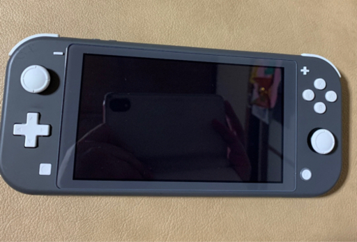 その他 Nintendo switch lite
