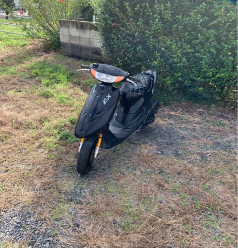 ホンダ ライブディオZX 原付 バイク 50cc 車体