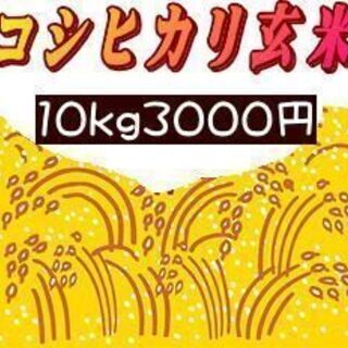 【ネット決済】新米コシヒカリ玄米10キロ