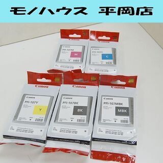 期限切れ 保管品 CANON インクタンク PFI-107 5本セット 顔料 染料