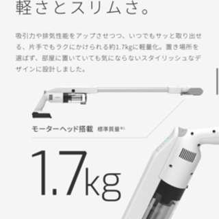 【ネット決済】raycop 充電式掃除機