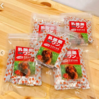 【犬用サプリメント】乳酸菌Daワン180包セット