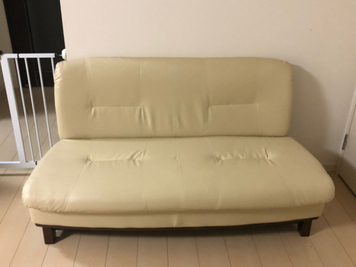 SAKODAホームファニシングス購入　ソファー