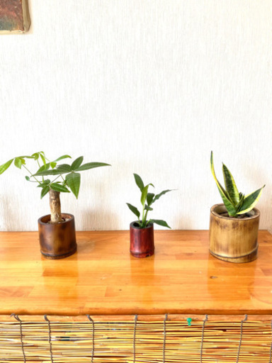 bambou-pot-terrasse-bois-composite-canapé-rotin