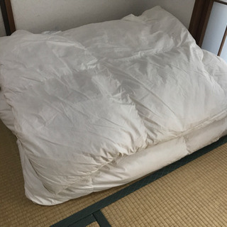 【0円】IKEA 羽毛布団シングル2枚