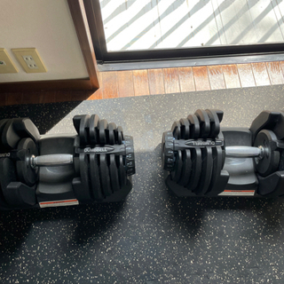 [取引中]Bowflex5.1アジャストベンチ, 可変式ダンベル40kg✖️2, 防音マット
