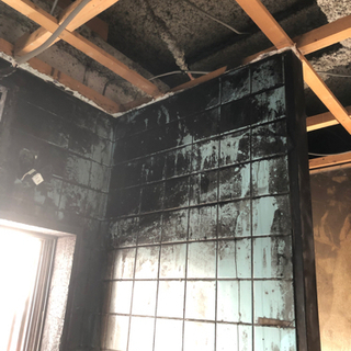 動物の死骸撤去、消毒致しますu203c️名古屋市、春日井市、尾張旭市 (オノ 