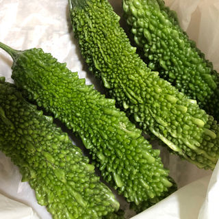 中古ゴーヤが無料 格安で買える ジモティー