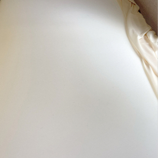 ☆交渉可☆フランスベッドにトゥルースリーパー付き！マットレスカバーも！