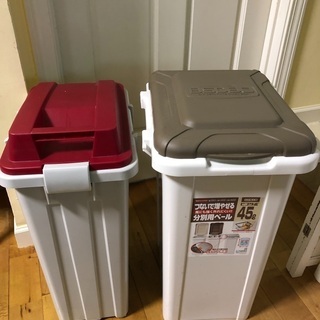 大きめの蓋付きのゴミ箱2個セットで。
