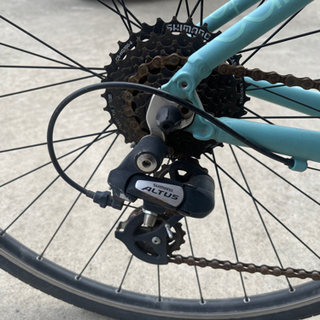 Bianchi カメレオンテ1 2018年モデル サイズ43 【公式通販】