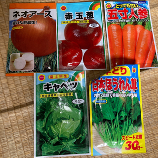 農地が一反ほど余っているので諏訪市で家庭菜園しませんか