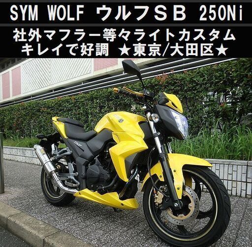 ★SYM Wolf SB250Ni ライトカスタム キレイで好調★東京/大田区【下取OK】