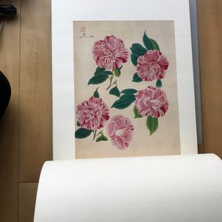 中村岳陵、都会女性職譜・エレベー、希少画集画、新品高級額装付 Yahoo!オークション - 中村岳陵 都会女性職譜・エレベー 希少