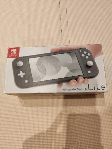 その他 Nintendo switch lite