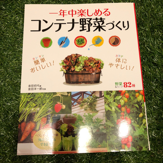 美品　コンテナ野菜づくりの本