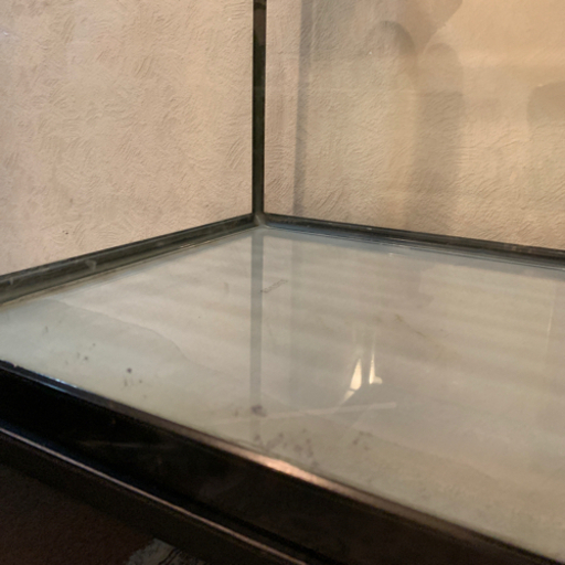 引退]破格値で水槽90cm×2個60cm×1個