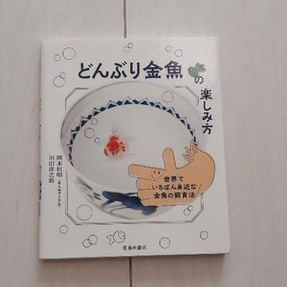 金魚の飼い方