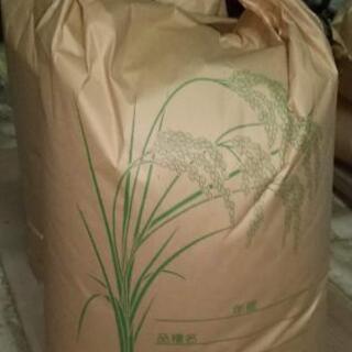 令和2年　千葉県成田市産　コシヒカリ　玄米　30kg
