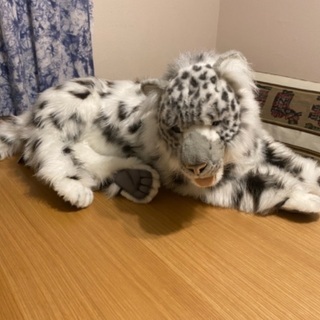 HANSA Snow Leopard