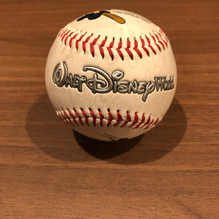 Disney World 野球ボール