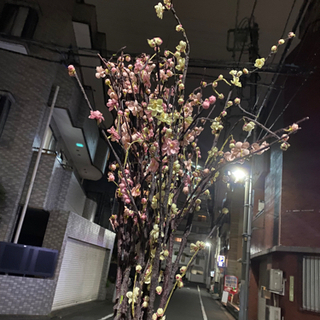 【ネット決済】梅の枝　造花　〜お花〜
