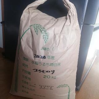 令和2年　玄米　一等米コシヒカリ　20キロ