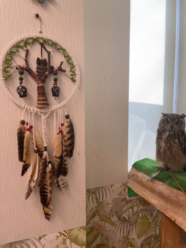 33504km アドレスv125 CF4EA スズキ小型☆ 始動動画あり 19252km