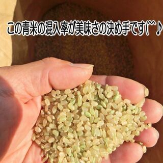 ☆新米☆大分 高冷地棚田米☆有機肥料・減農薬栽培☆キヌヒカリ☆令和