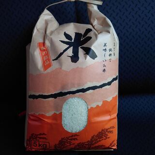 さいたま市で生産した✨令和3年新米🍚精米コシヒカリ🌾受付中♬