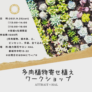 宮崎県の多肉植物の中古が安い 激安で譲ります 無料であげます ジモティー 宮崎県の多肉植物の中古が安い 激安で譲ります 無料であげます ジモティー