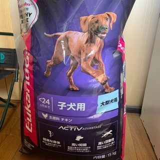 【ネット決済】ユーカヌバ　ラージパピー　大型犬子犬用 15kg