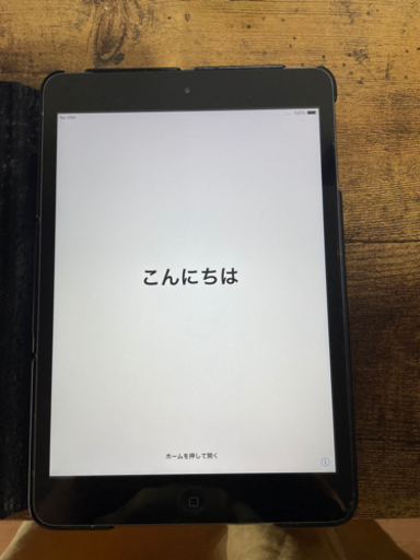 iPad iPad mini2 16G