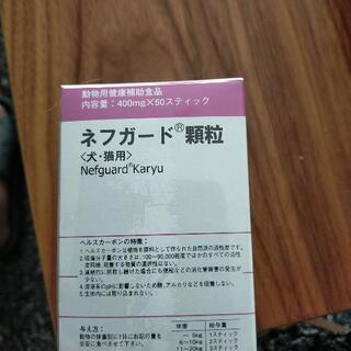 中古ネフガードが無料 格安で買える ジモティー 中古ネフガードが無料 格安で買える ジモティー