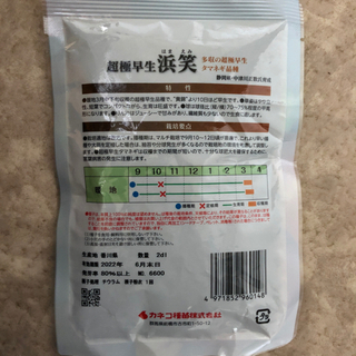 食品 玉ねぎの種 浜笑 2dl