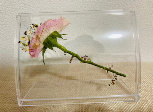 上皇后両陛下 明仁 様（あきひと様)遺伝子操作押し花