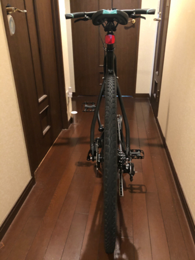 Bianchi ビアンキ C-SPORT2 2020 サイズ51